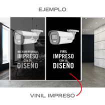 VINIMPM2