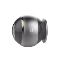 C6P