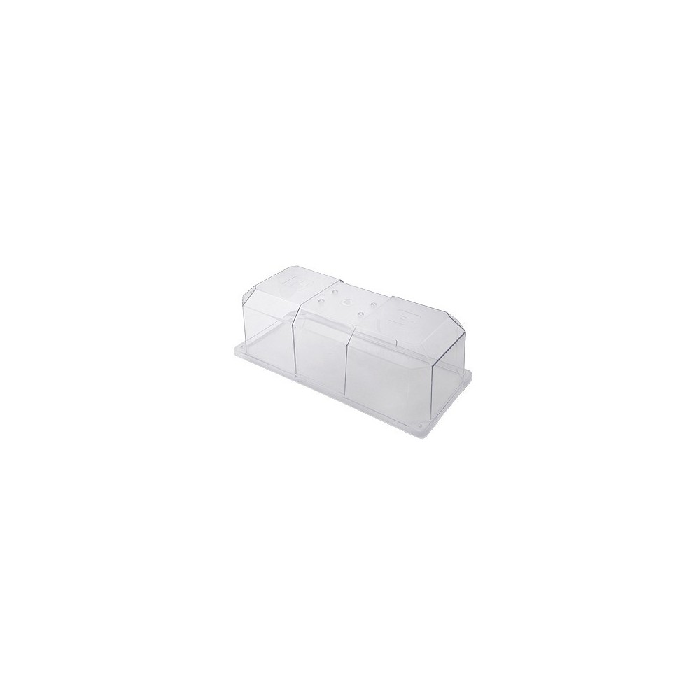 45251005