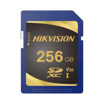 HSSDP10256G