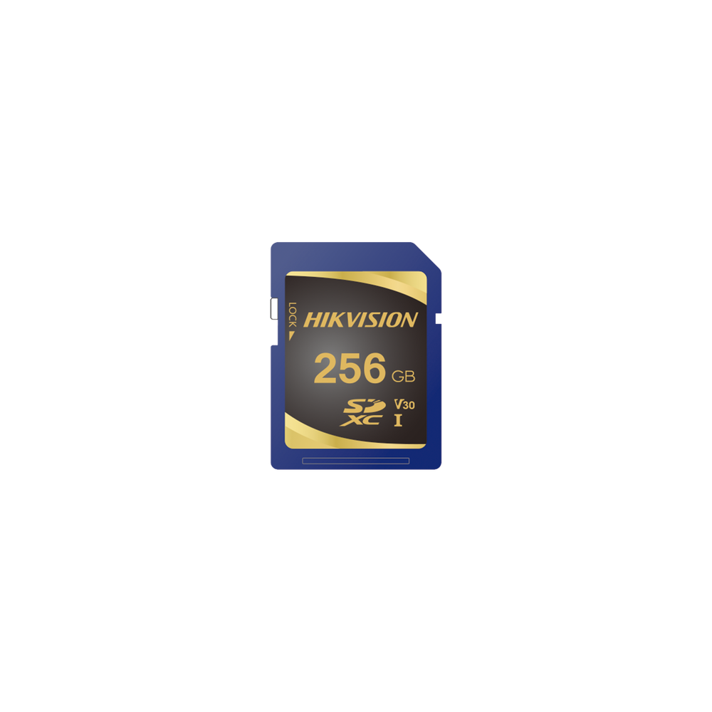 HSSDP10256G