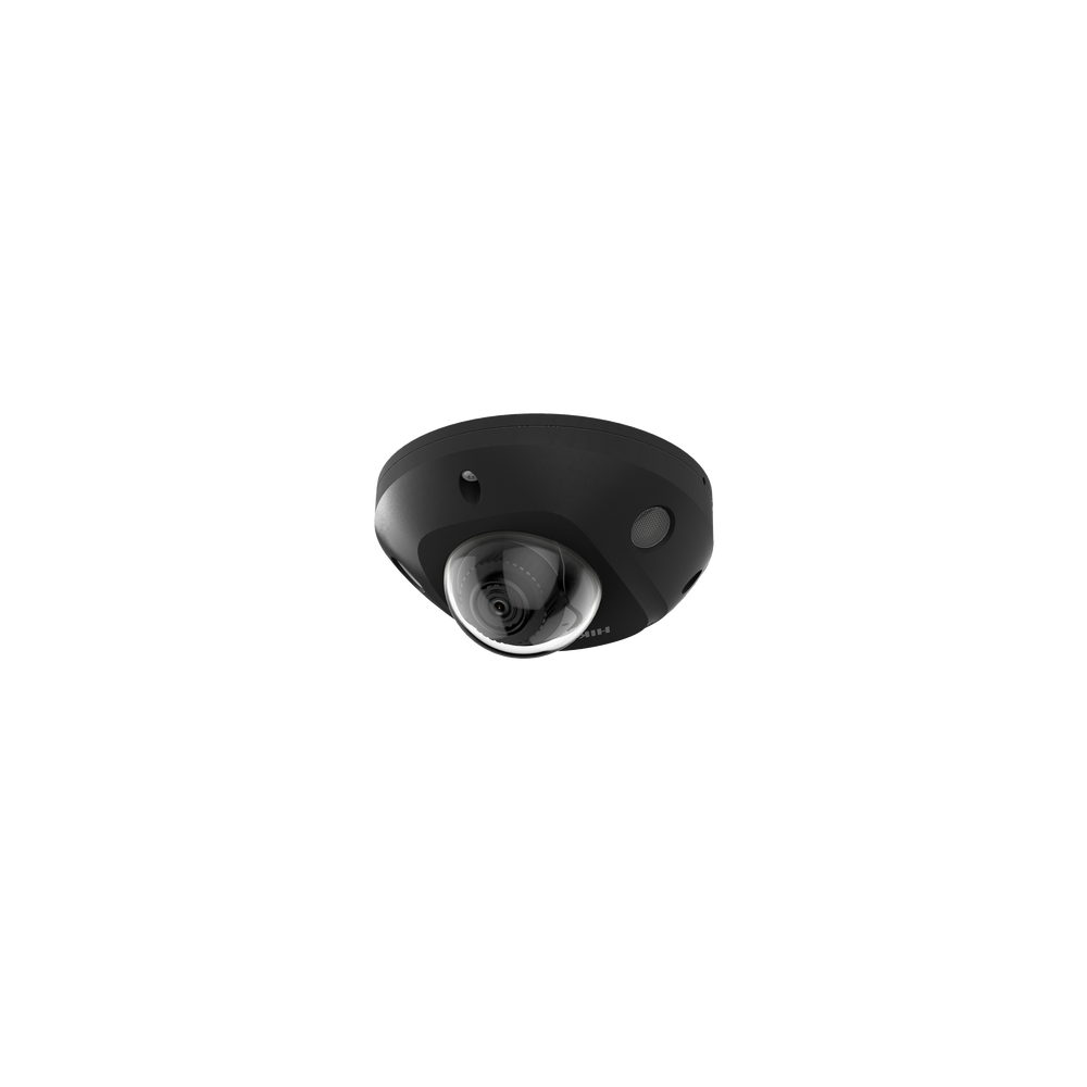 DS2CD2543G2ISBLACK