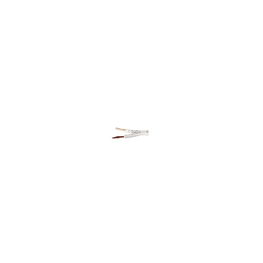 10041101