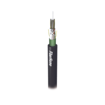 GYFS48C