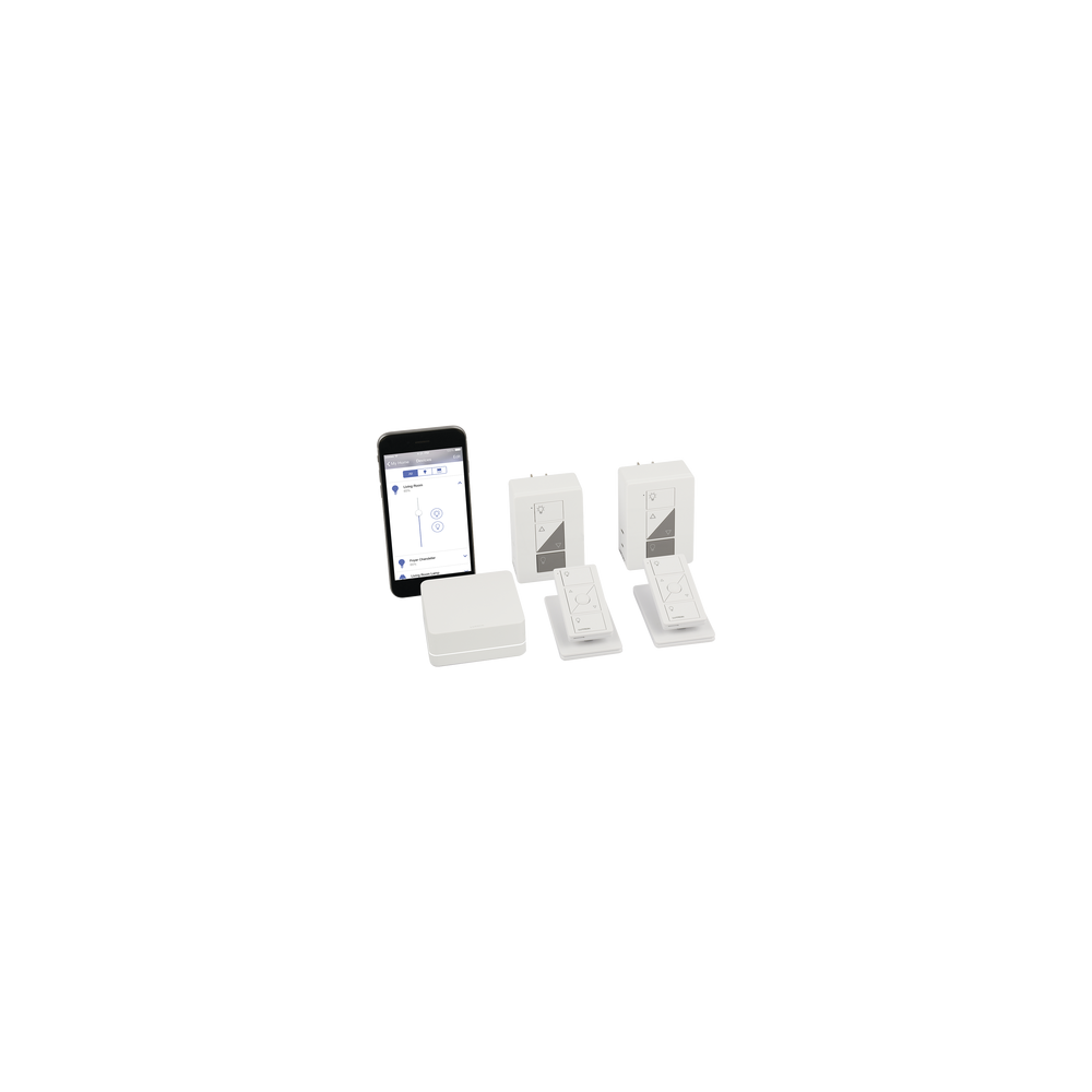 PBDGPKG2P