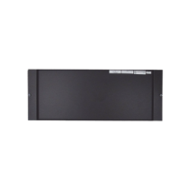 DP1B