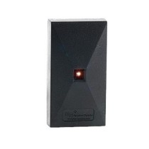 P300