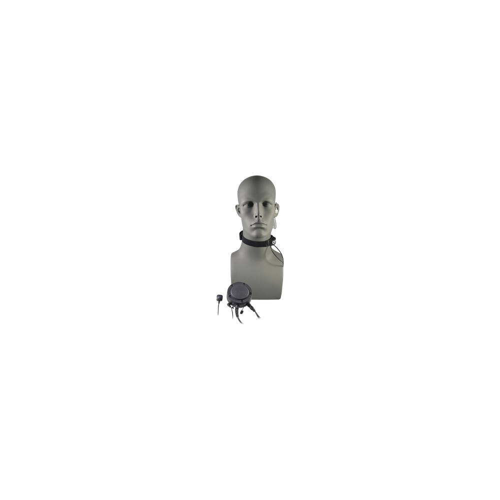 V1T12CF137