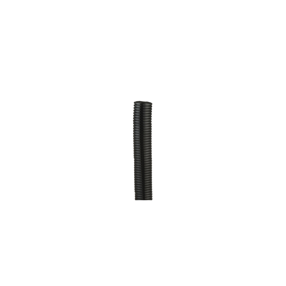 CLT125FL20