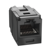 CC6X88BL