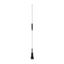 ASP76551