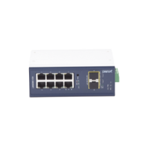 IGS10020MT