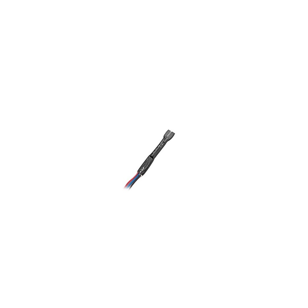 RUPTELATEMP