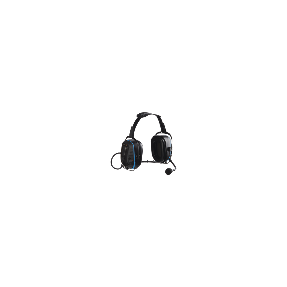 SM1PEW01