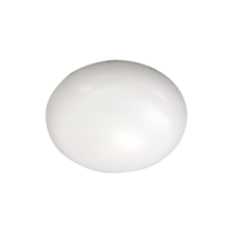 A3C