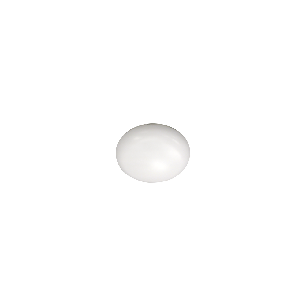 A3C