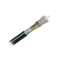 9PF5C006DT301A