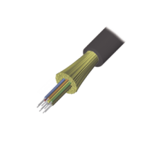 9GD5H006DT501M