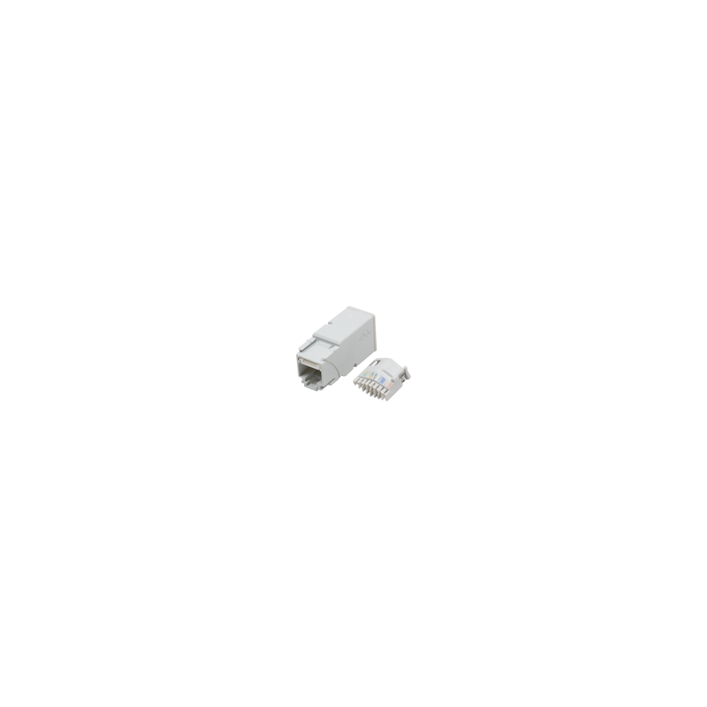 Z6P
