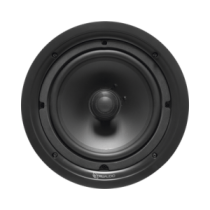 PP8