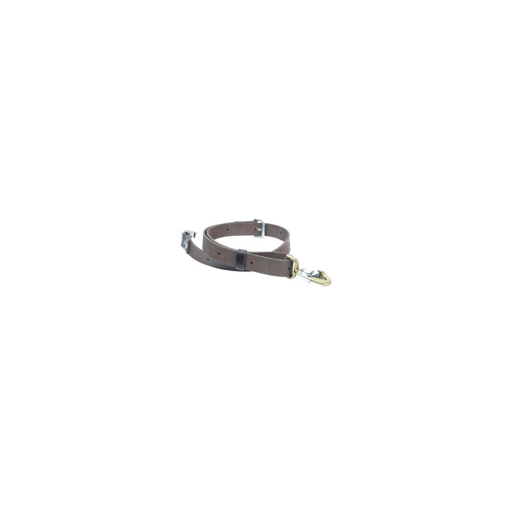 529519D