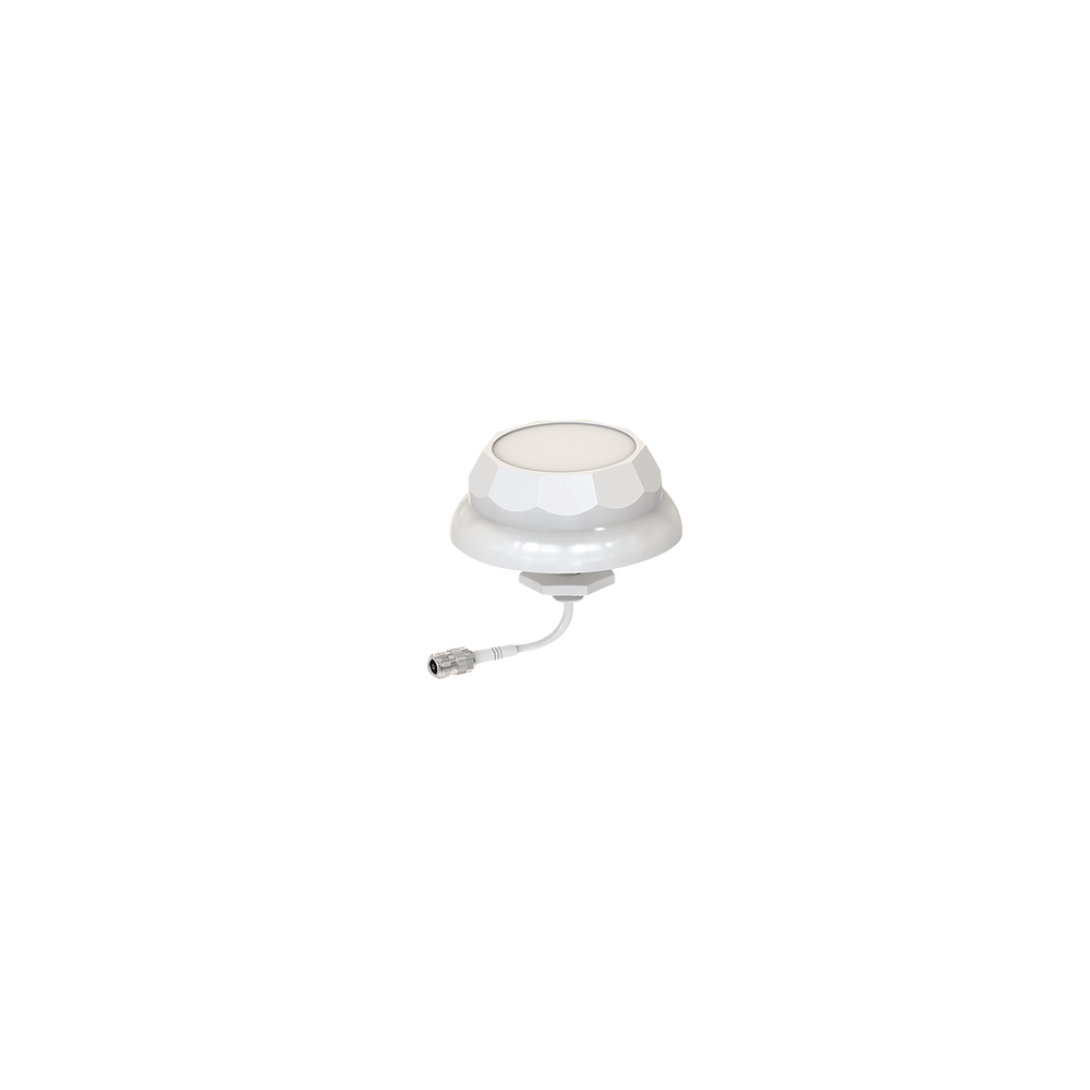 TXC243