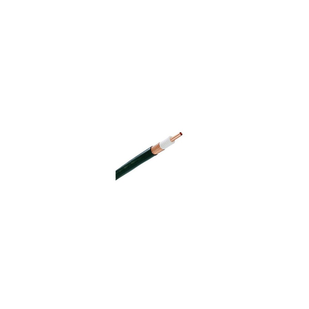 AVA55010