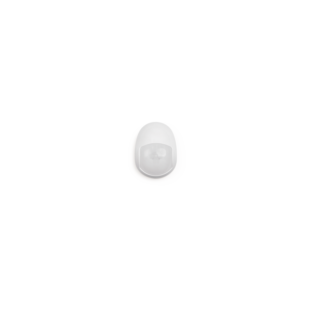 CNPIR