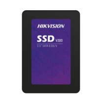V3001024GSSD