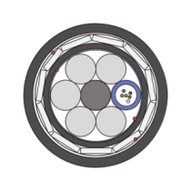 OCADSSARMD06C