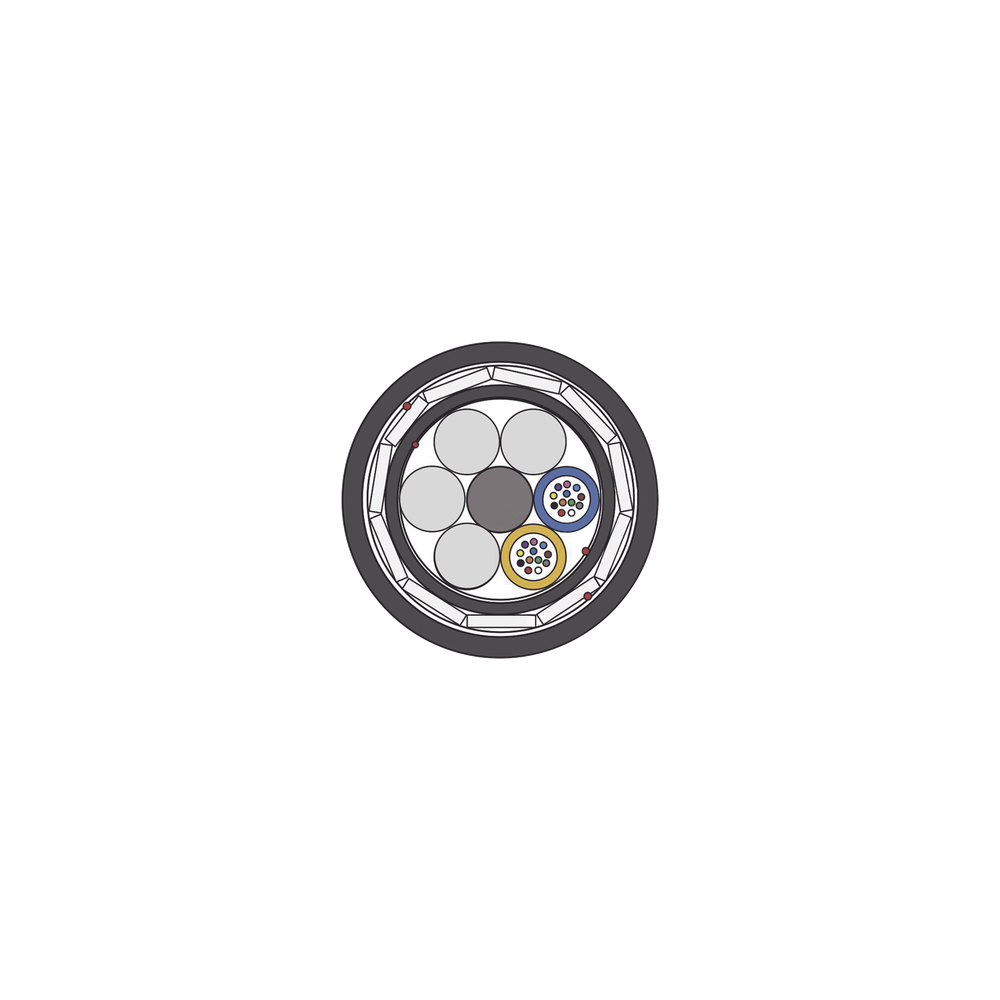 OCADSSARMD24C