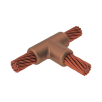 TGMCCT204