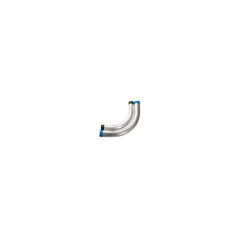 CAL19R