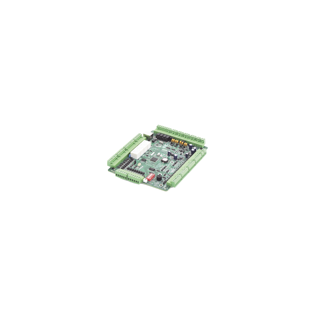 202000335