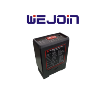 WJDG102 TVB017001 WEJOIN WJDG102 - Sensor de masa vehicular para