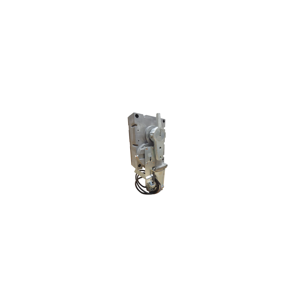 119RIG323