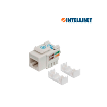 210591 ITL1610008 INTELLINET 210591 - Jack RJ45 CAT6 Keystone / d