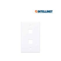163293 ITL1630002 INTELLINET 163293 - TAPA (FACEPLATE) / 2 PERFOR