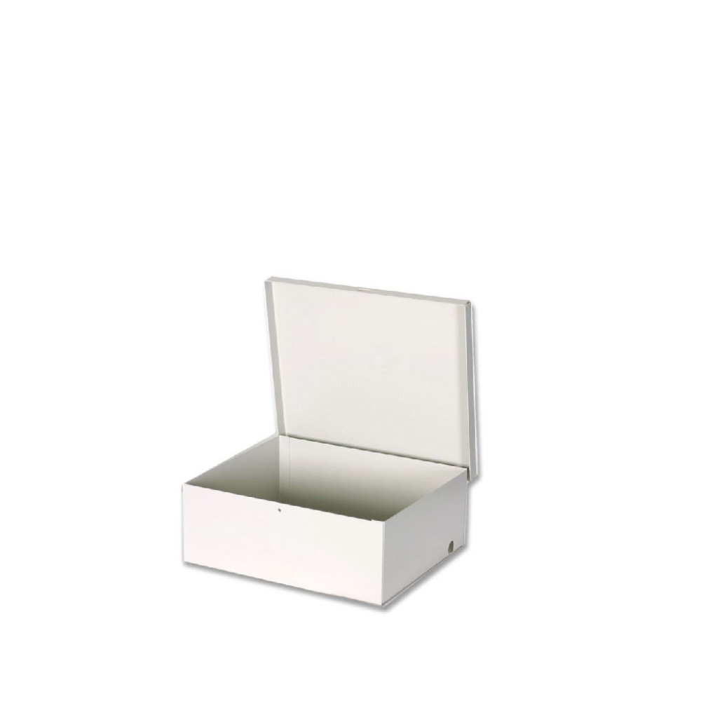 GS-004 DSC1220033 AV TT004 - Gabinete Metalico para Modulos DSC