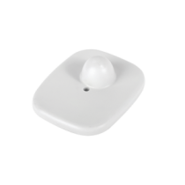 T005
