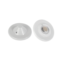 T004