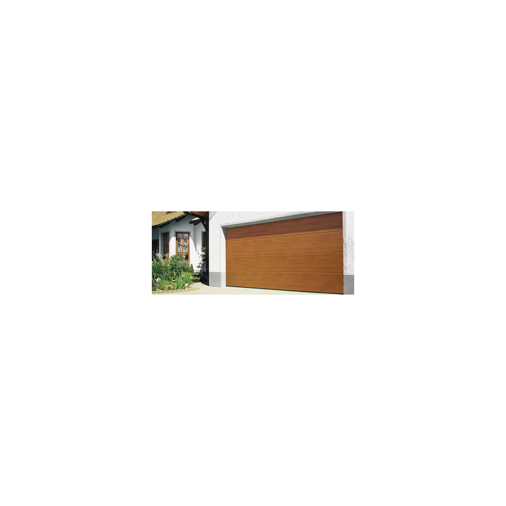 GARAGE98W AccessPRO Acceso Vehicular Puertas de Garage ACCESS