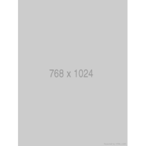 BOSCH LB20PC305L BOSCH...