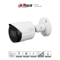 DH-IPC-HFW2841S-S
