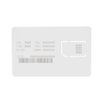 SIM25MB