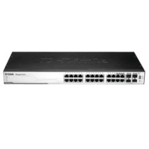 DGS310024P