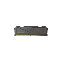 HIKSEMI by HIKVISION HS-C416-U32D2/16G Modulo de Memoria RAM DDR4 de Color Negro 16 GB / 3200 MHz /